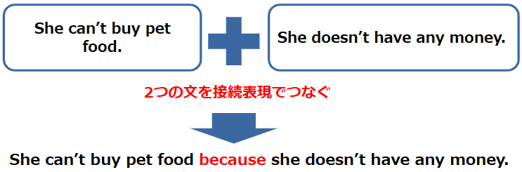 2つの文を接続表現でつなぐ