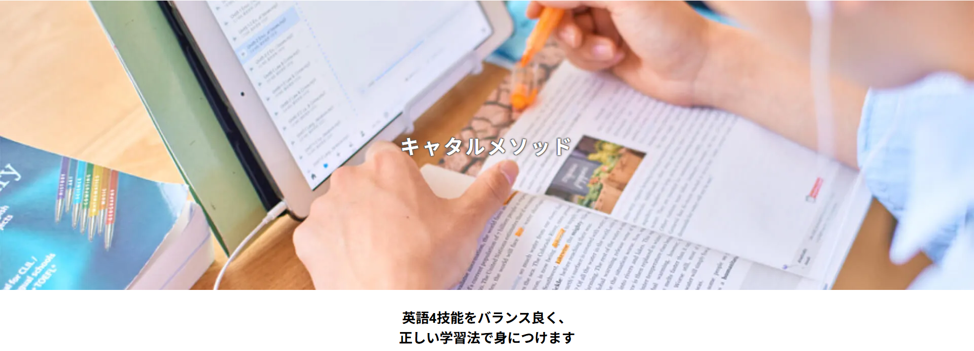 キャタルとは?基本情報と特徴