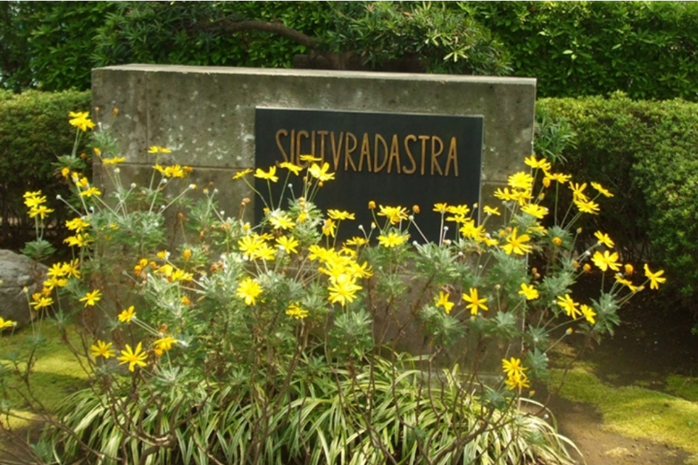 法政大学国際高等学校の教育の特色